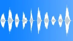 KidsCountdown S011HU.8 Sound Effect