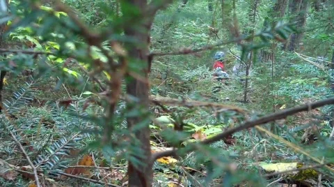 Kidwoods02 Stock Footage 607169