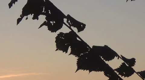 Kiev, building, branch Stockbeeldmateriaal 43338255