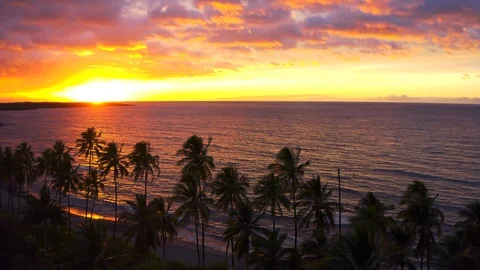 Kiholo bay  beach with palm trees Big Island Hawaii aerial sunset. Stock Footage