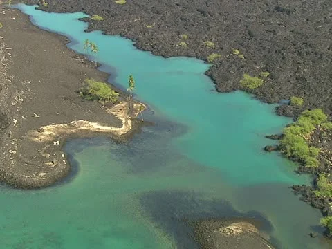 Kiholo Bay Stock Footage 22244235