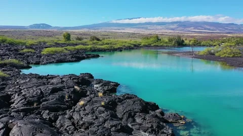Kiholo Bay 動画素材 169208576