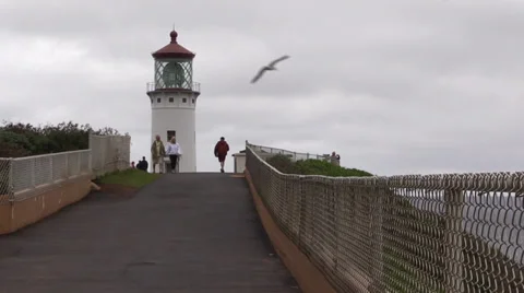 Kilaua Point lighthouse visitors Stock Footage 35257462