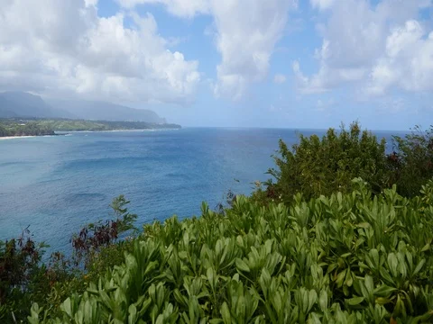 Kilauea View of Ocean looking North Stock Footage 80382108