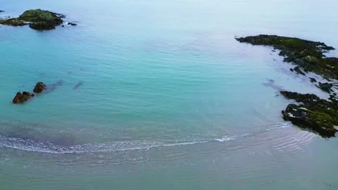 Kilclief Beach, County Down Stock-Footage 236495104