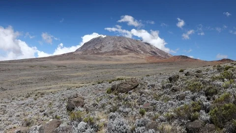 Kilimajaro Stock Footage
