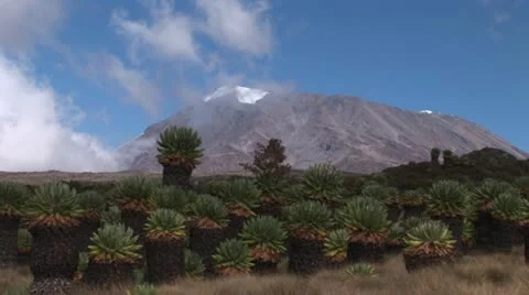Kilimanjaro Stock Footage 24656860