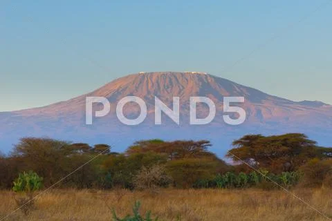Kilimanjaro mountain at the sunrise Stock Photos