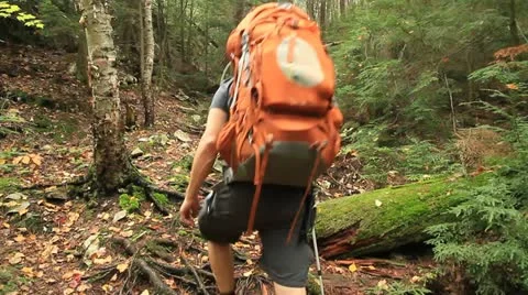 Killarney Provincial Park Stock Footage 17300779