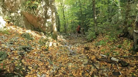 Killarney Provincial Park Stock Footage 17300973