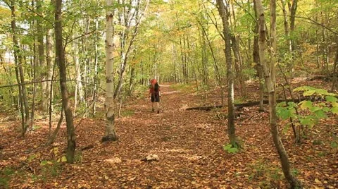 Killarney Provincial Park Stock Footage 17429484