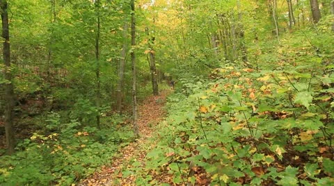 Killarney Provincial Park Stock Footage 17542257