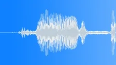 Killdeer Bird call 2Sound Effect