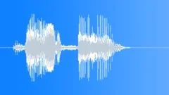 Killdeer Bird Call 3Sound Effect