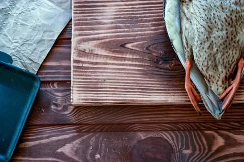 Killed duck before cooking. Stock Photos