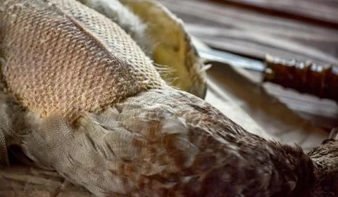 Killed duck before cooking. Stock Photos