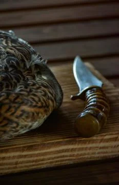 Killed duck before cooking. Stock Photos