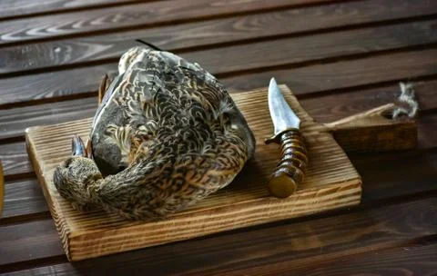 Killed duck before cooking. Stock Photos