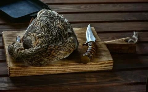 Killed duck before cooking. Stock Photos