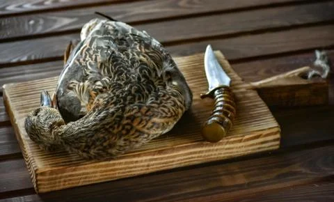 Killed duck before cooking. Stock Photos