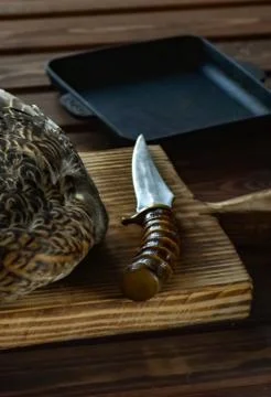 Killed duck before cooking. Stock Photos