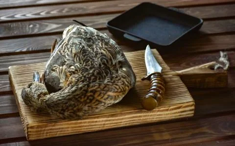 Killed duck before cooking. Stock Photos