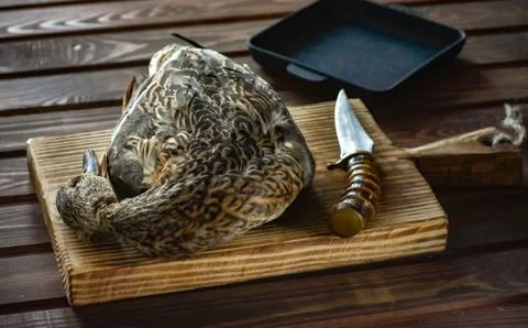 Killed duck before cooking. Stock Photos