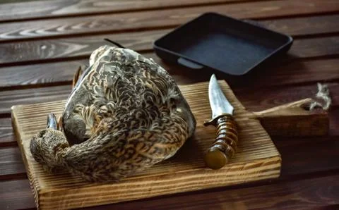 Killed duck before cooking. Stock Photos