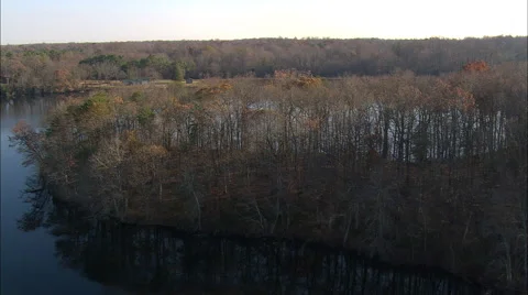 Killen Pond State Park Stock Footage 65426995