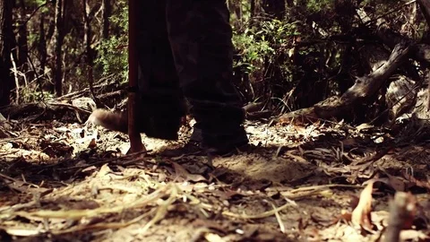 Killer digging a hole at a crime scene Stock Footage 81728658