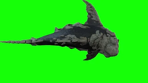 A killer Shark death scene 3D rendering animation on green screen Stock Footage 307998387