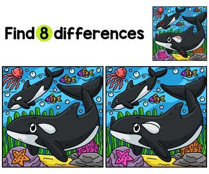 Killer Whale Animal Find The Differences Illustrazione stock