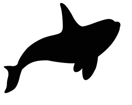 Killer whale - black vector silhouette for pictogram or logo. Stock Illustration