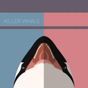 Killer Whale flat postcard Stock Illustration