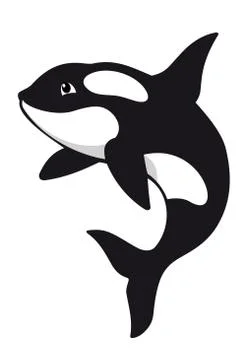 Killer whale Stock-Illustration