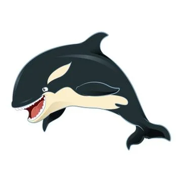 Killer whale Stock Illustration