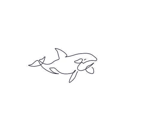 Killer whale Stock Illustration