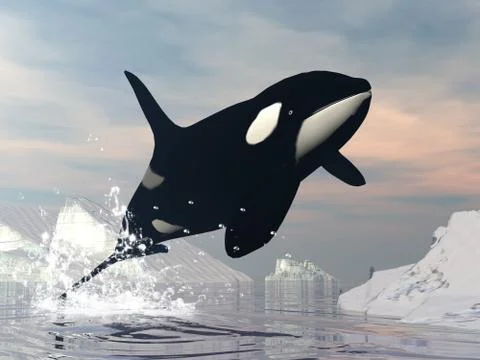 Killer whale jump - 3D render Stock Illustration