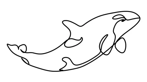 Killer whale one line drawing , black lines on a white background Video stock 128417552