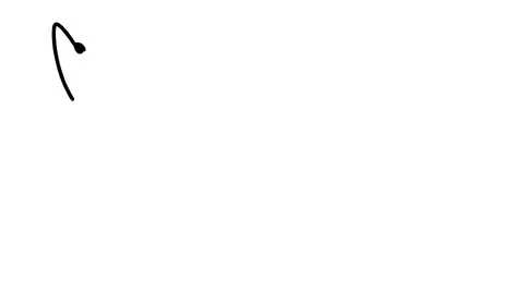 Killer whale one line drawing , black lines on a white background Video stock 128417583