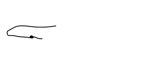Killer whale one line drawing , black lines on a white background. Stock-Footage 128417601