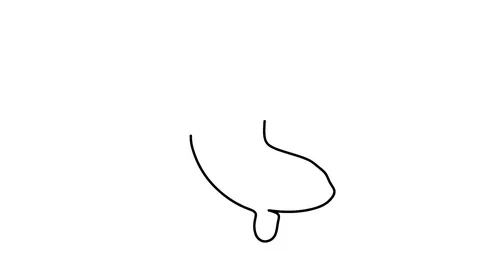 Killer whale one line drawing , black lines on a white background Stock-Footage 128417659