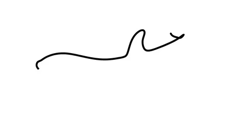 Killer whale one line drawing , black lines on a white background Stock-Footage 128417708