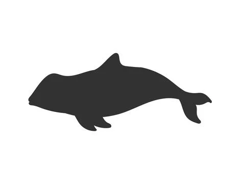 Killer whale or orca black silhouette of sea predator animal, vector isolated. Stock Illustration