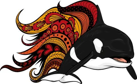 Killer Whale or Orca vector illustration design Illustrazione stock
