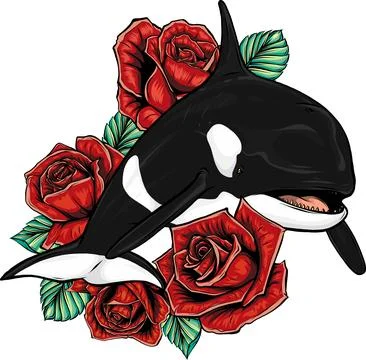Killer Whale or Orca vector illustration design Illustrazione stock