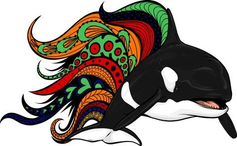 Killer Whale or Orca vector illustration design Illustrazione stock