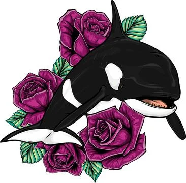 Killer Whale or Orca vector illustration design Ilustración de archivo