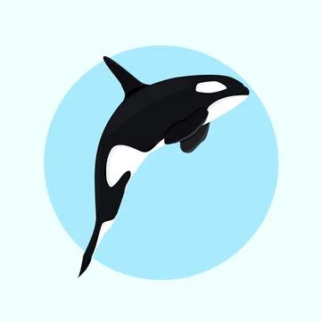 Killer whale, orca  flat design Stock Illustration