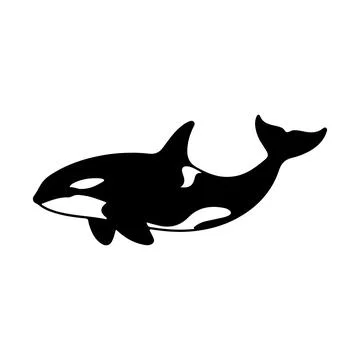 Killer Whale Orca Silhouette Vector Illustration Isolated on White Background 스톡 일러스트